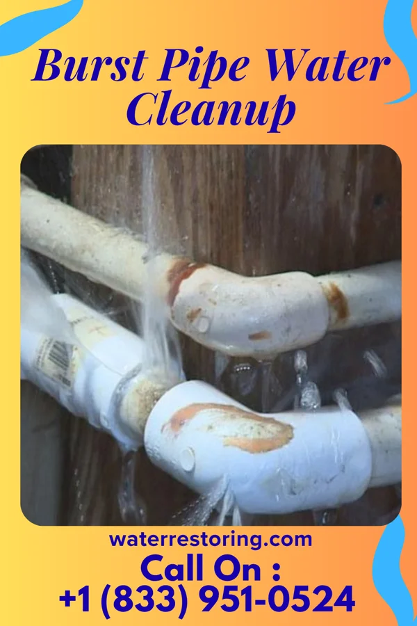 Burst Pipe Water Cleanup in Sherrill, AR