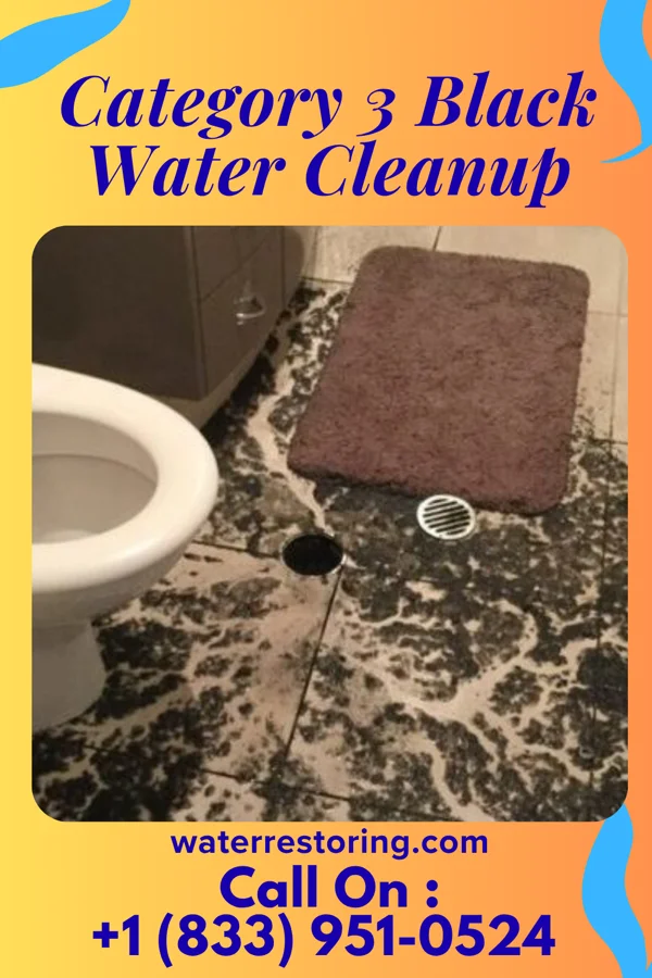 Category 3 Black Water Cleanup in Sherrill, AR