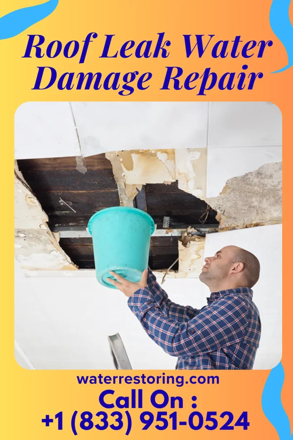 Roof Leak Water Damage Repair in Sherrill, AR