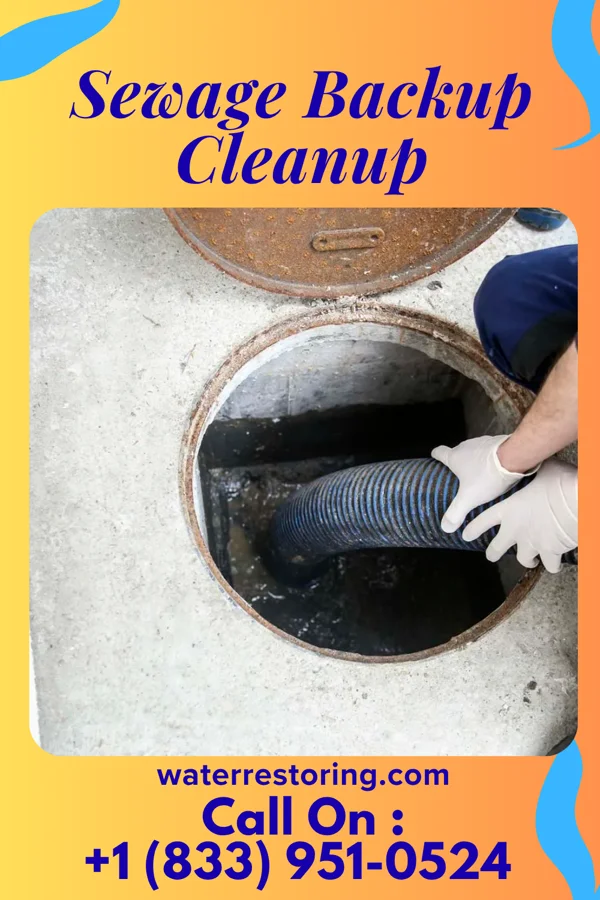 Sewage Backup Cleanup in Sherrill, AR